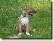 J� m�m mot�lka na b��ku, kde je ten skute�n�?