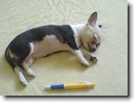 Jsem v�t�� ne� tu�ka...