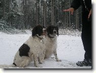 S�ra a Saly Buremi