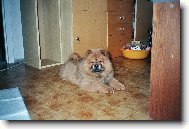 6.5.2008 N� Fil�pek(1den doma)