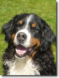 �sm�v, pros�m !