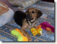 tak to je na�e zlati�ko