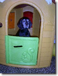 NKO st��� 6 let