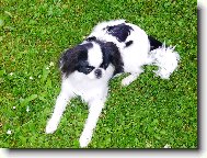 �IKO - to jsme u� vyrostli