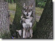 Charon od katova m�stku