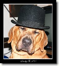 Baldey ze �pi��ku 11 m�s�c�