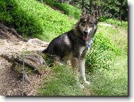 Charon od katova m�stku