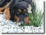 Co po mn� je�t� chcete..?