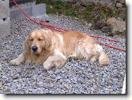 n� mil���k rodiny