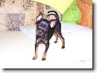 Kuk na S�rinku:) 3-m�s.