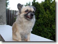 �patn� n�lada . . .