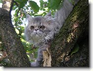 Maggie si u��v� kr�sy p��rody