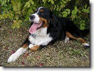 podzimn� pohodi�ka