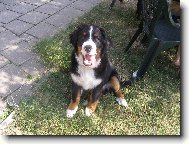 P�ekr�sn� �t���tko