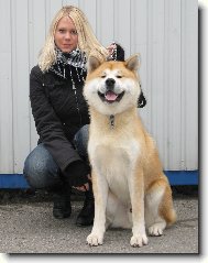 Desetim�s��n� Zurui