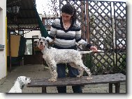 ENDY OD ALPSK�  PROT̎E