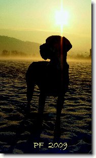 kr�sn� v�noce v�em