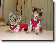 hod�me se k sob�