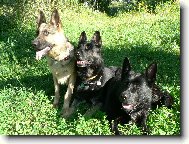 Rodina-mama a jej dve dc�ry