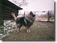 Vl�� �picov� z ch. s. Re-Jan Moravia