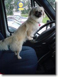 Pozor, �of�rujem