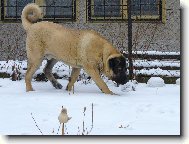  �t�n�  6  m�s�c�