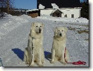 Ned�ln� vych�zka