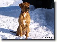 Airin - 6 m�s�c�