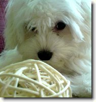 Na�e Jessyne�ka :)