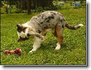 j� ti d�m ne��de