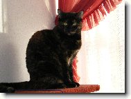 Moje ���a S�ra