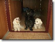 Beky   Terina   Maty�