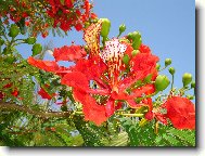 Moc p�kn� ale mn� nezn�m�