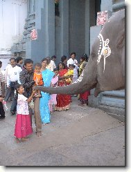 Po�ehn�n� chr�mov�m slonem