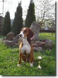 MVP �esk� Bud�jovice