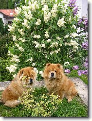 prvn� m�j je l�sky �as