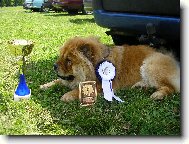 klubov� v�stava Exotic klubu