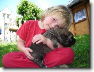 �pan�lsk� mastin z Polabsk�ch blat