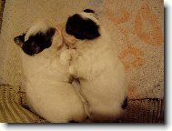 ve dvou se to l�pe t�hne..