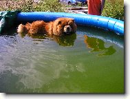 letn� cacht�n�