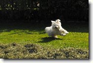 M�a hl�d� seno