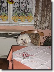 �ek�n� na ve�e�i