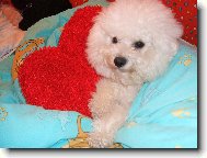 Fer��sek,na�e srd��ko.