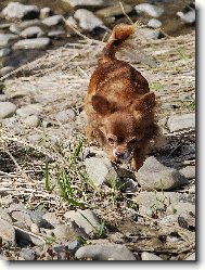 �ivava Cassiopeia Space beauty