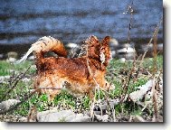 �ivava Cassiopeia Space beauty