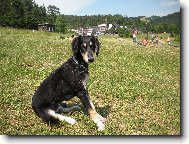 Atiyah Sayah ( 4 m�s�ce )