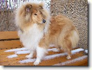 Daphne z Jasm�nov�ch hor