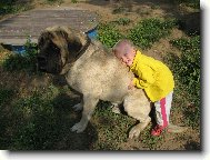 m�m t� t����khle r�d