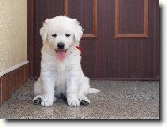 Slovensk� �uva�