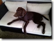 N�meck� kr�tkosrst� oha�